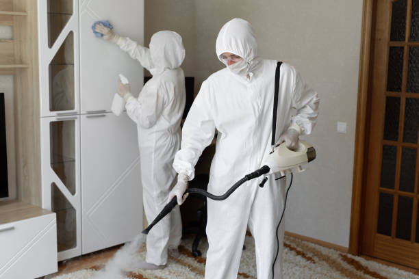 Best Post-Flood Mold Remediation in Harlem Heights, FL